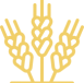 ico_1_1